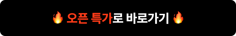 🔥 오픈 특가로 바로가기 🔥
