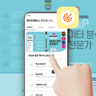 [PT] ADsP 끝장 패키지 2025 PT
